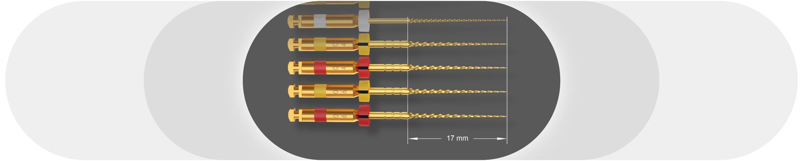 EKS-Endo Motor