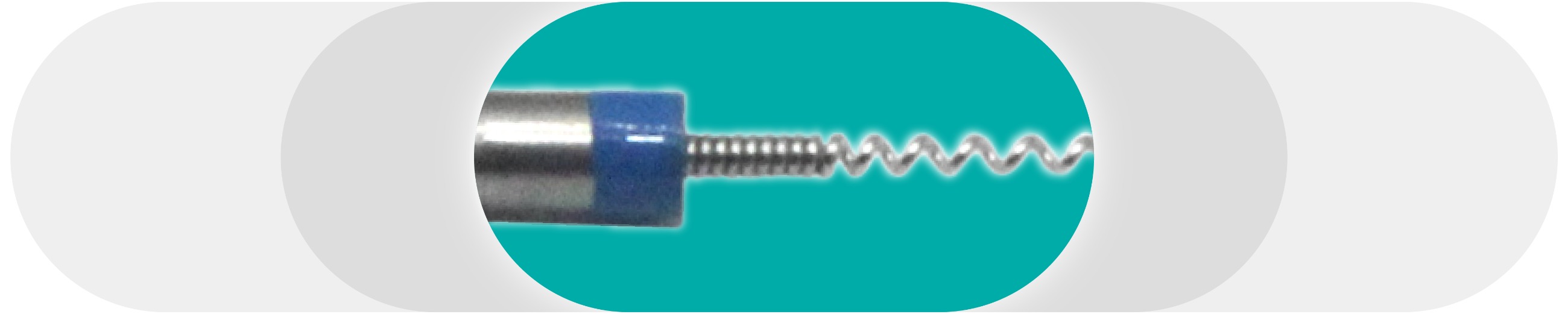 EKS-Endo Motor